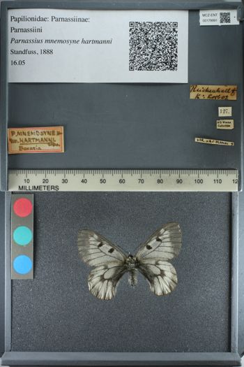 Media type: image;   Entomology 179991